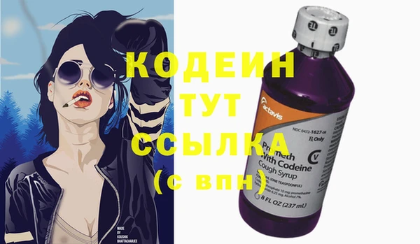 гидра Верхний Тагил