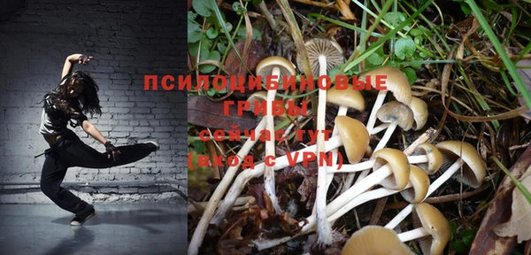 гидра Верхний Тагил