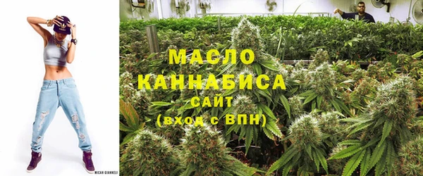 гидра Верхний Тагил