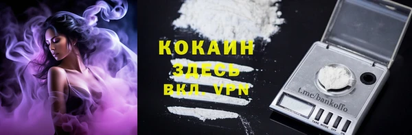 спиды Верея