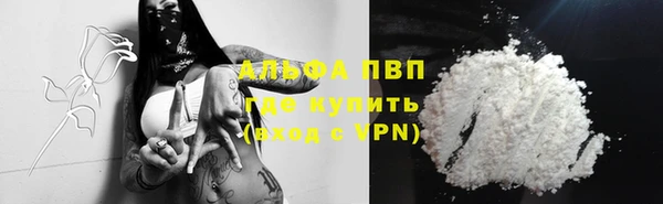 спиды Верея