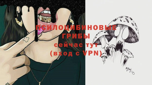 спиды Верея