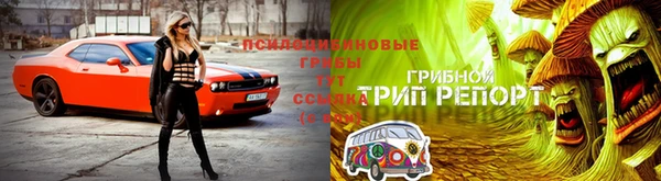 гидра Верхний Тагил