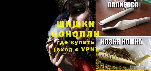 гидра Верхний Тагил