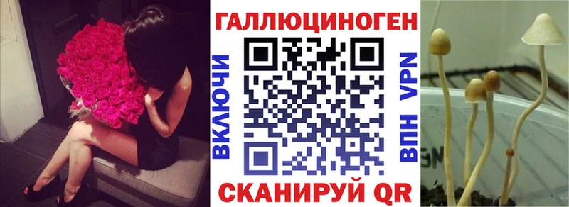 купить Приволжский Псилоцибиновые грибы Magic Shrooms